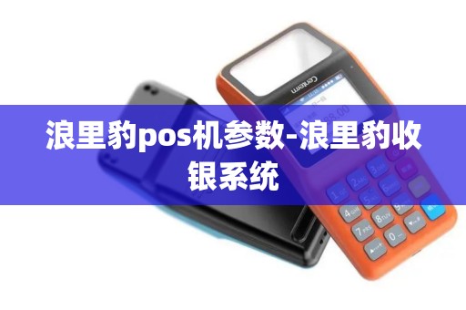 浪里豹pos机参数-浪里豹收银系统 浪里豹pos机参数-浪里豹收银系统