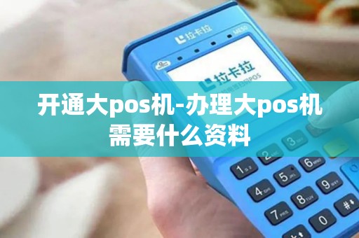 开通大pos机-办理大pos机需要什么资料 开通大pos机-办理大pos机需要什么资料
