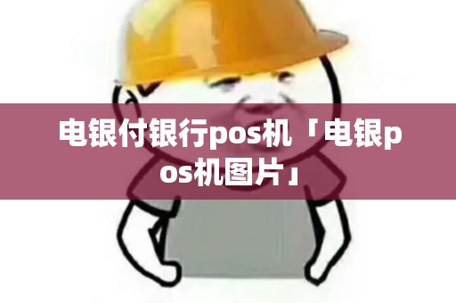 电银付银行pos机「电银pos机图片」 电银付银行pos机「电银pos机图片」