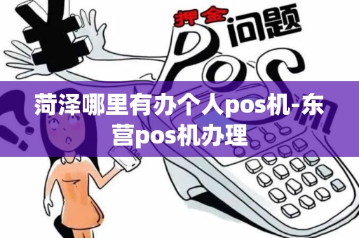 菏泽哪里有办个人pos机-东营pos机办理
