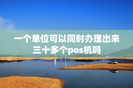 一个单位可以同时办理出来三十多个pos机吗