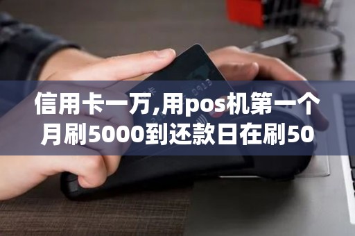 信用卡一万,用pos机第一个月刷5000到还款日在刷5000还进去,以此类推会产生利息吗