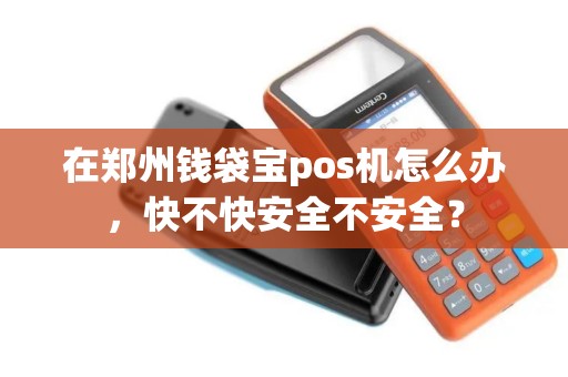 在郑州钱袋宝pos机怎么办，快不快安全不安全？