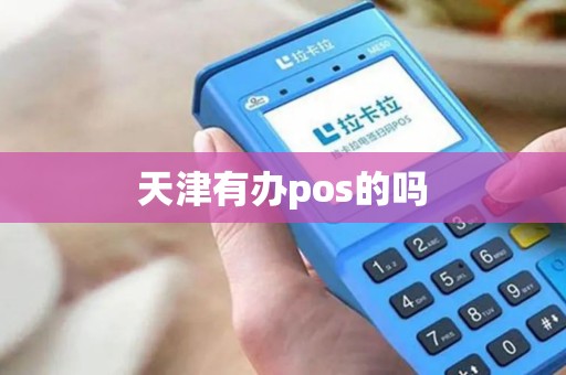 天津有办pos的吗