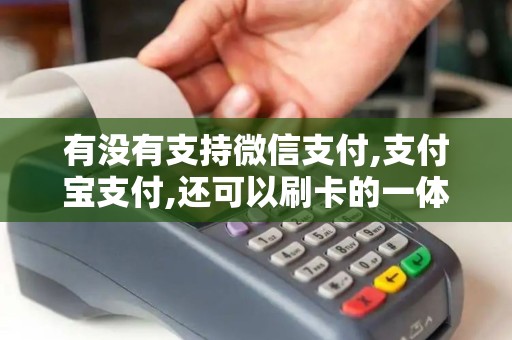 有没有支持微信支付,支付宝支付,还可以刷卡的一体POS机