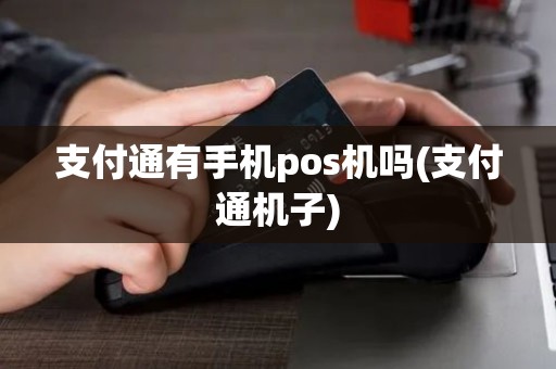 支付通有手机pos机吗(支付通机子)