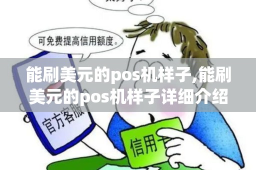 能刷美元的pos机样子,能刷美元的pos机样子详细介绍 能刷美元的pos机样子,能刷美元的pos机样子详细介绍
