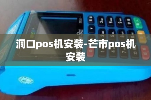 洞口pos机安装-芒市pos机安装