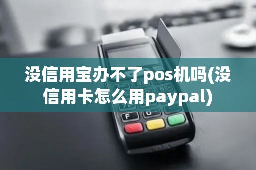 没信用宝办不了pos机吗(没信用卡怎么用paypal)