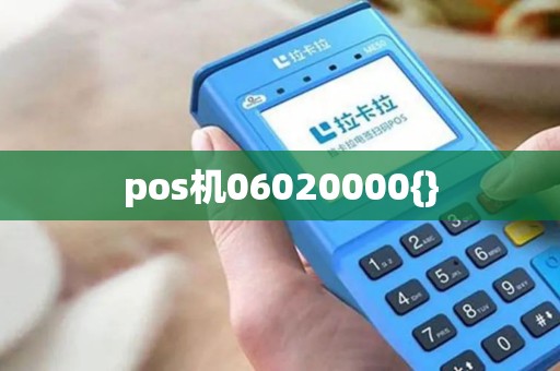 pos机06020000{}