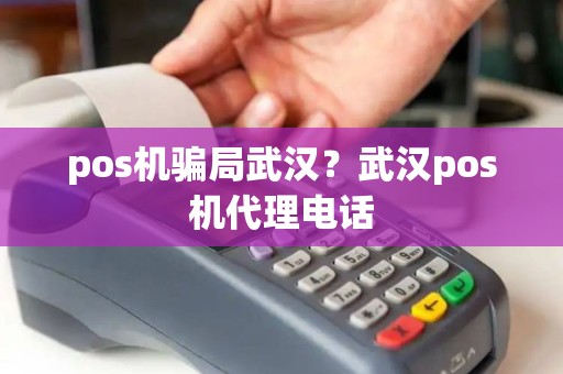 pos机骗局武汉?武汉pos机代理电话 pos机骗局武汉?武汉pos机代理电话