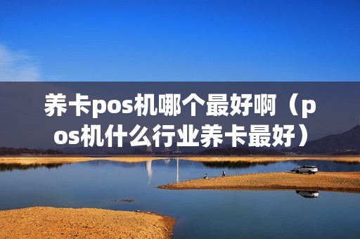 养卡pos机哪个最好啊（pos机什么行业养卡最好）
