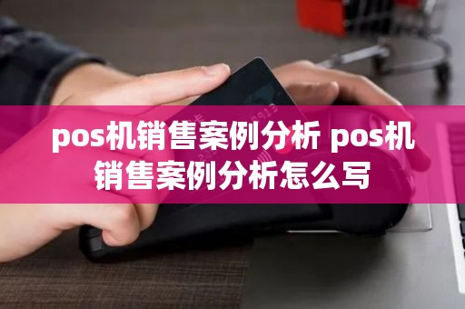 pos机销售案例分析 pos机销售案例分析怎么写