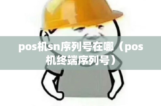 pos机sn序列号在哪（pos机终端序列号）
