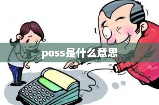 poss是什么意思