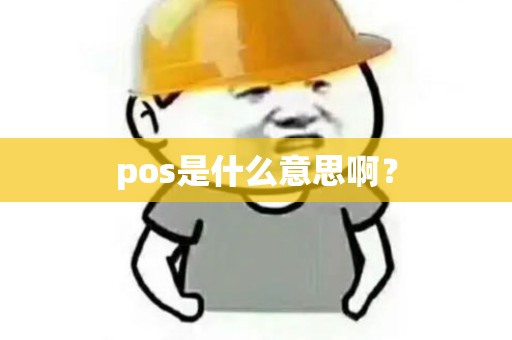 pos是什么意思啊？
