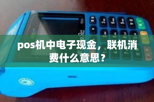 pos机中电子现金，联机消费什么意思？