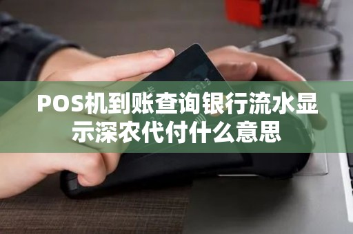 POS机到账查询银行流水显示深农代付什么意思 POS机到账查询银行流水显示深农代付什么意思