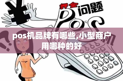pos机品牌有哪些,小型商户用哪种的好