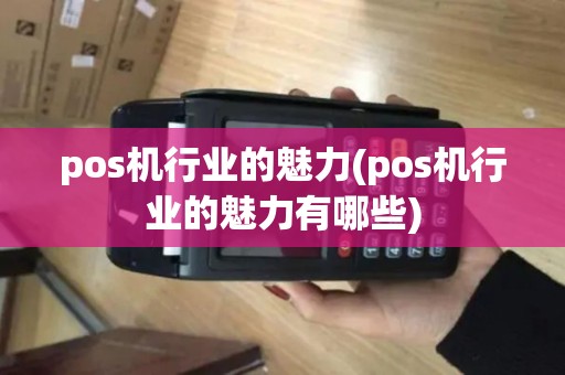 pos机行业的魅力(pos机行业的魅力有哪些)