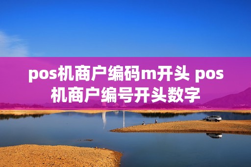 pos机商户编码m开头 pos机商户编号开头数字 pos机商户编码m开头 pos机商户编号开头数字
