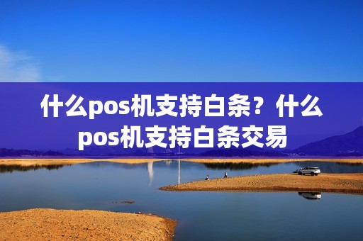 什么pos机支持白条?什么pos机支持白条交易 什么pos机支持白条?什么pos机支持白条交易
