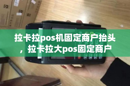拉卡拉pos机固定商户抬头，拉卡拉大pos固定商户