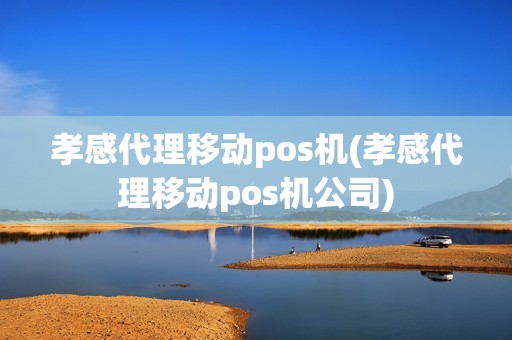 孝感代理移动pos机(孝感代理移动pos机公司)