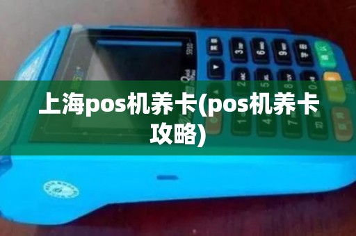 上海pos机养卡(pos机养卡攻略) 上海pos机养卡(pos机养卡攻略)
