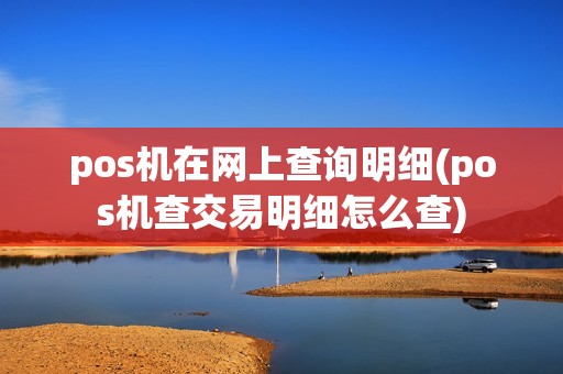 pos机在网上查询明细(pos机查交易明细怎么查)