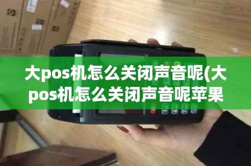 大pos机怎么关闭声音呢(大pos机怎么关闭声音呢苹果手机) 大pos机怎么关闭声音呢(大pos机怎么关闭声音呢苹果手机)
