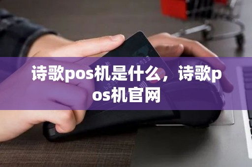 诗歌pos机是什么，诗歌pos机官网