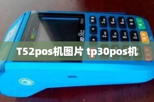 T52pos机图片 tp30pos机 T52pos机图片 tp30pos机