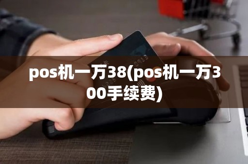 pos机一万38(pos机一万300手续费)