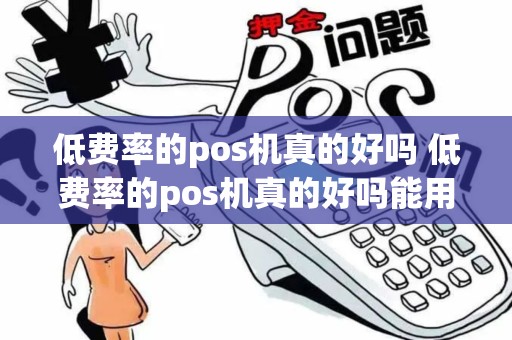 低费率的pos机真的好吗 低费率的pos机真的好吗能用吗 低费率的pos机真的好吗 低费率的pos机真的好吗能用吗