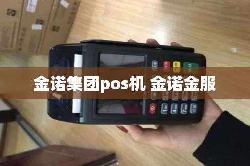 金诺集团pos机 金诺金服
