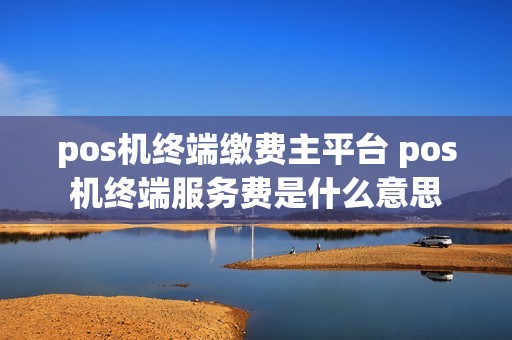 pos机终端缴费主平台 pos机终端服务费是什么意思 pos机终端缴费主平台 pos机终端服务费是什么意思