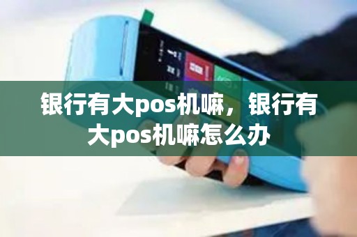 银行有大pos机嘛，银行有大pos机嘛怎么办