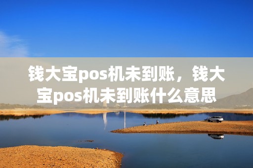 钱大宝pos机未到账，钱大宝pos机未到账什么意思