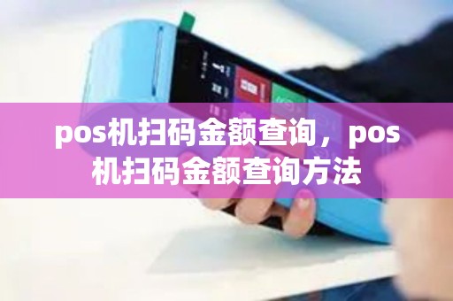 pos机扫码金额查询，pos机扫码金额查询方法