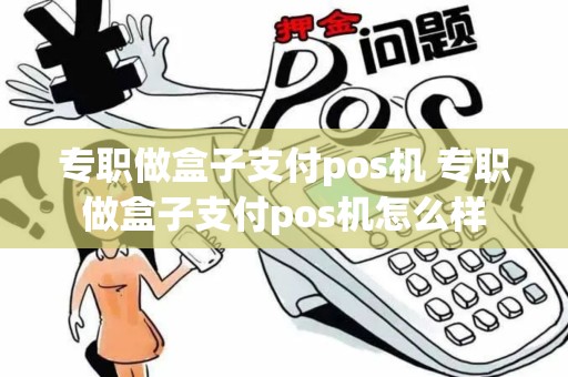 专职做盒子支付pos机 专职做盒子支付pos机怎么样 专职做盒子支付pos机 专职做盒子支付pos机怎么样