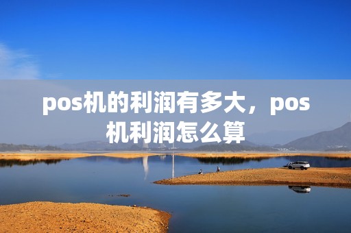 pos机的利润有多大,pos机利润怎么算 pos机的利润有多大,pos机利润怎么算