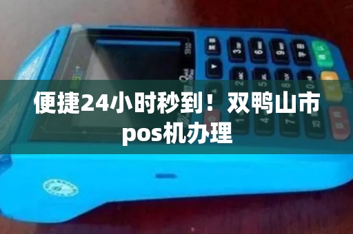 便捷24小时秒到!双鸭山市pos机办理 便捷24小时秒到!双鸭山市pos机办理