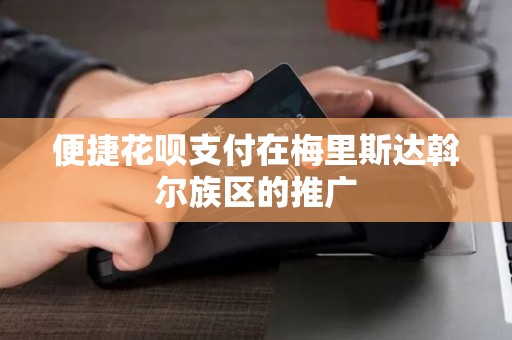 便捷花呗支付在梅里斯达斡尔族区的推广