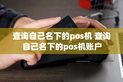 查询自己名下的pos机 查询自己名下的pos机账户 查询自己名下的pos机 查询自己名下的pos机账户