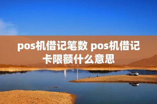 pos机借记笔数 pos机借记卡限额什么意思