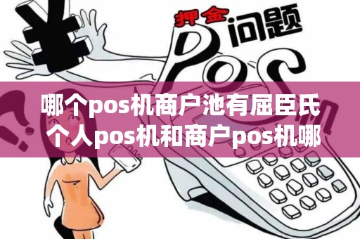 哪个pos机商户池有屈臣氏 个人pos机和商户pos机哪个好