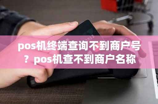 pos机终端查询不到商户号？pos机查不到商户名称