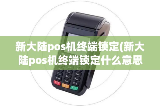 新大陆pos机终端锁定(新大陆pos机终端锁定什么意思)
