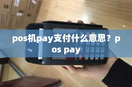 pos机pay支付什么意思？pos pay